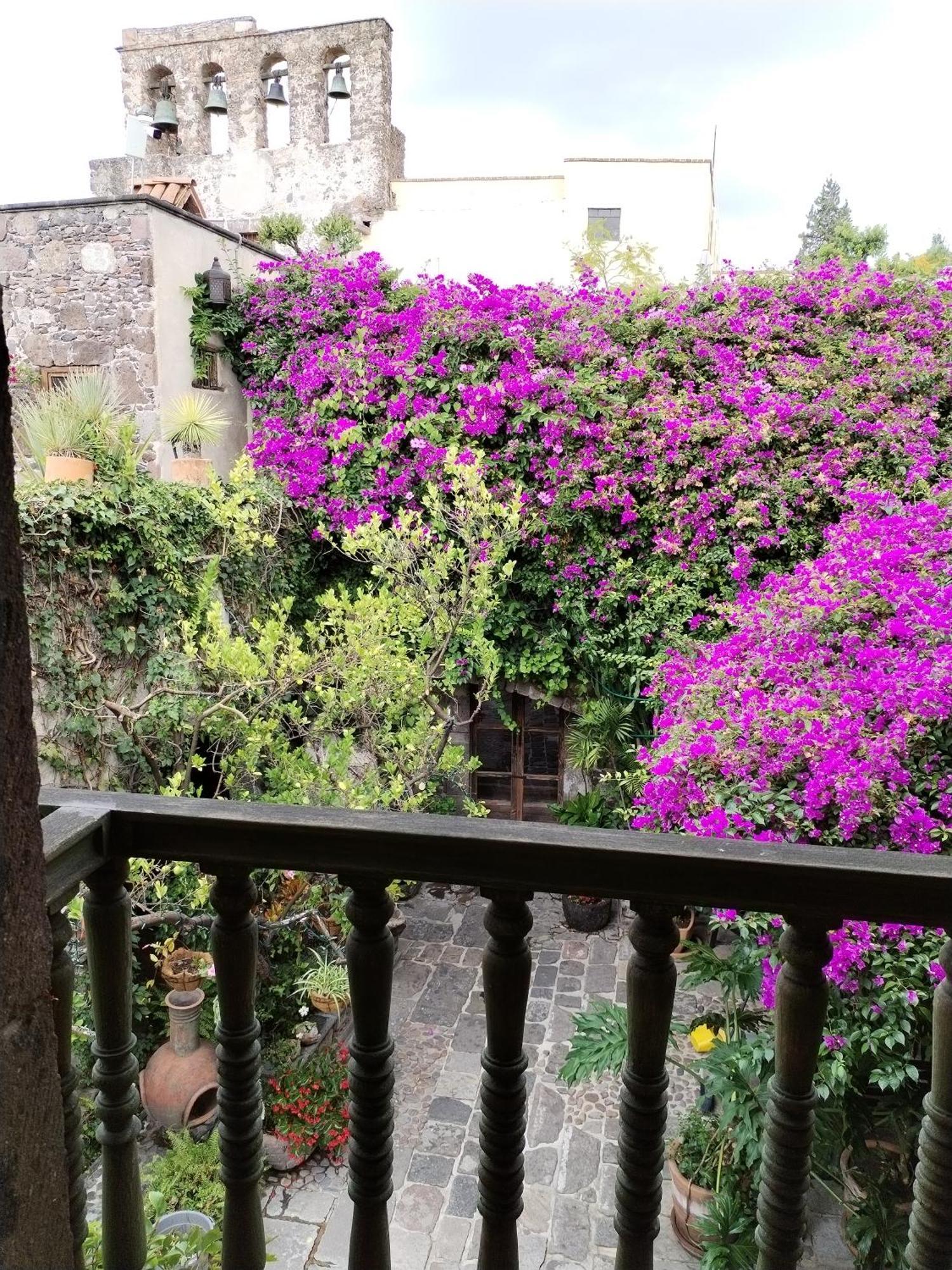 Hacienda Las Amantes سان ميغيل دي الليندي المظهر الخارجي الصورة