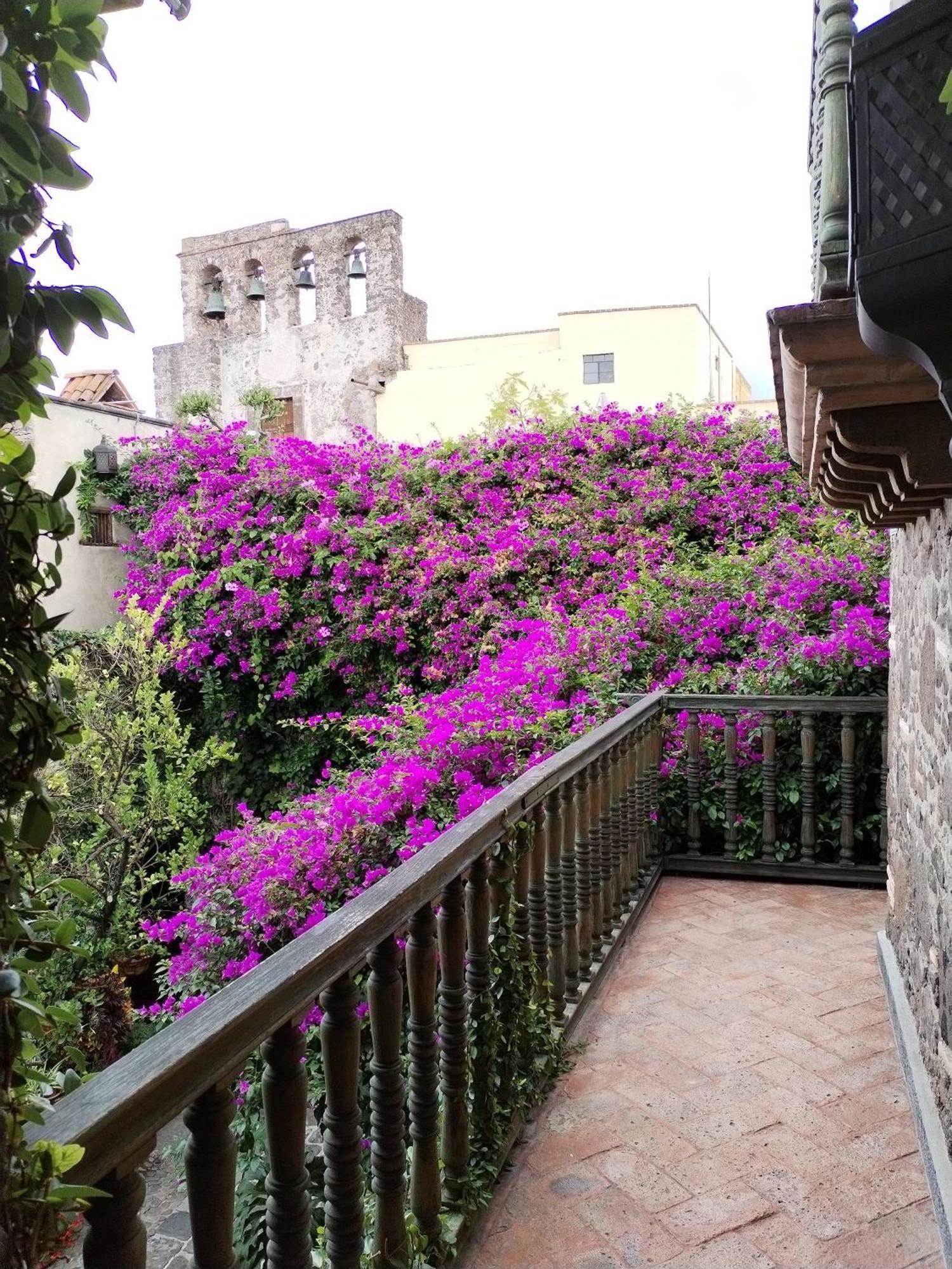 Hacienda Las Amantes سان ميغيل دي الليندي المظهر الخارجي الصورة