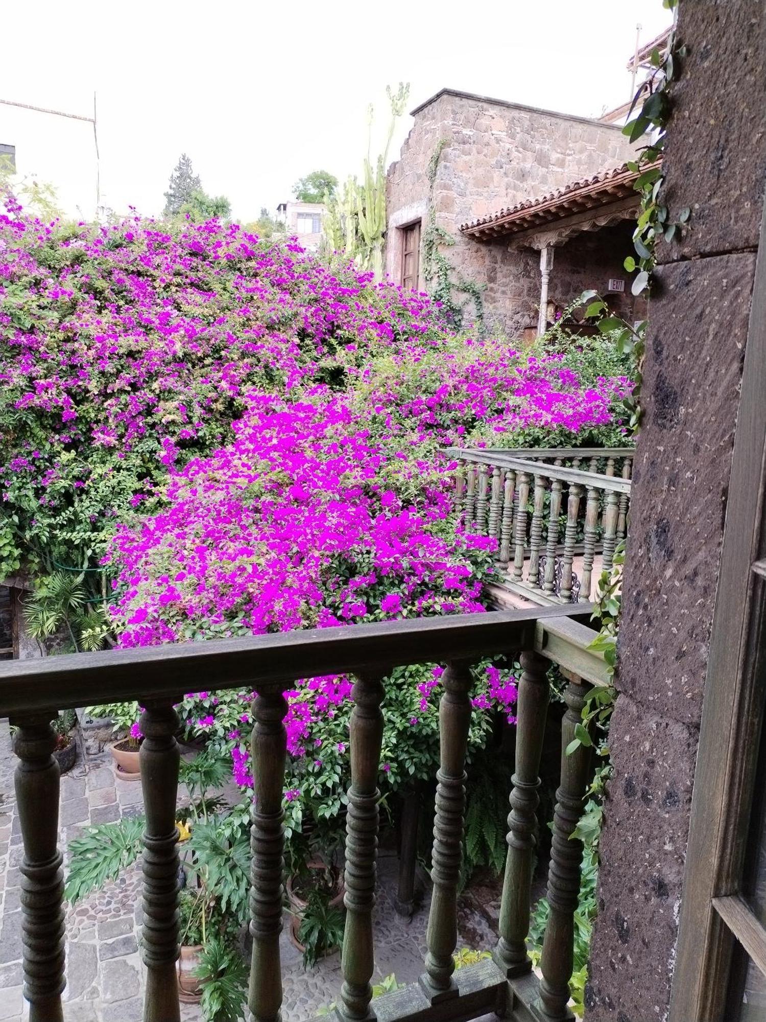 Hacienda Las Amantes سان ميغيل دي الليندي المظهر الخارجي الصورة